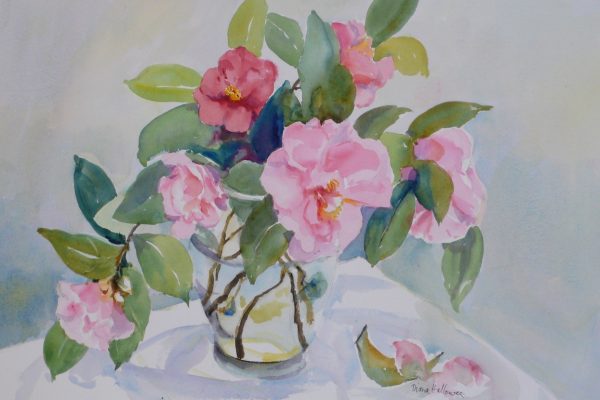 Pink-Camellia-watercolour-54cm-x-36cm-image-size