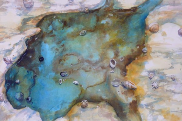 Tidal-Pool-watercolour-54cm-x-36cm-image-size